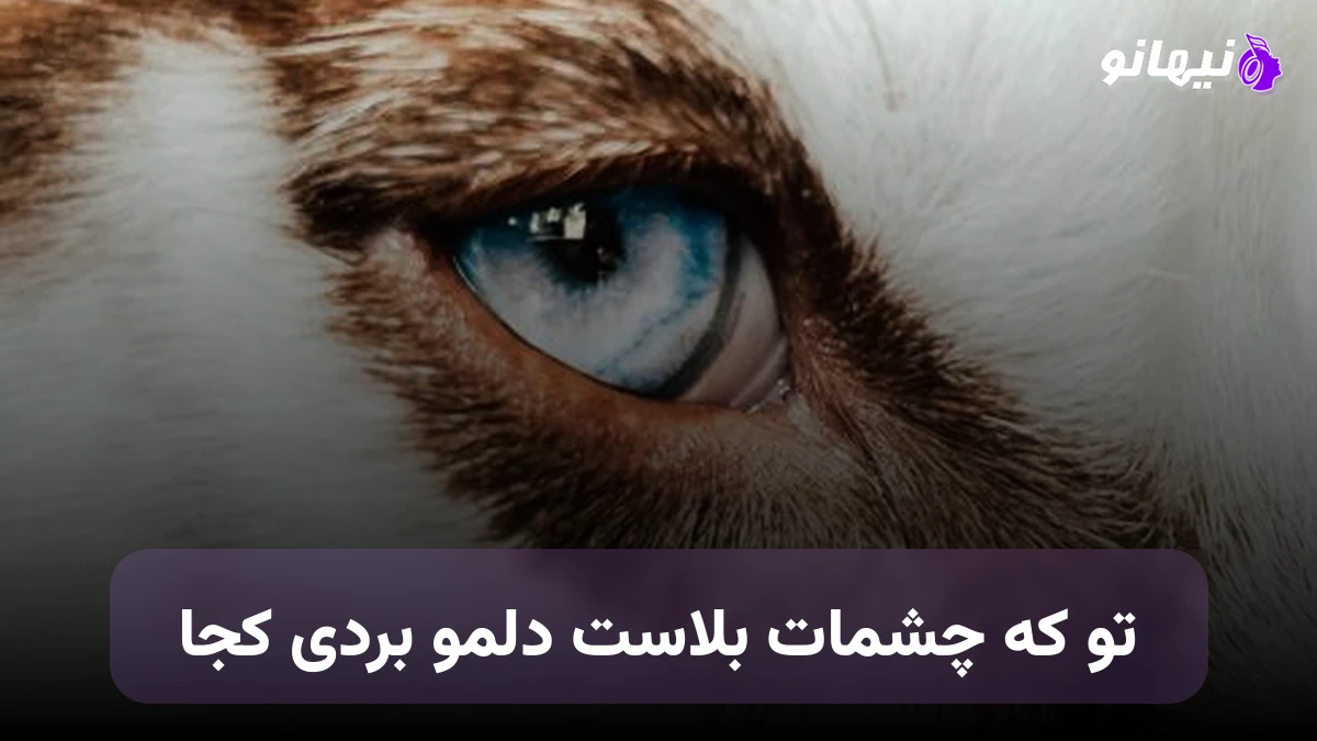 دانلود آهنگ تو که چشمات بلاست دلمو بردی کجا 